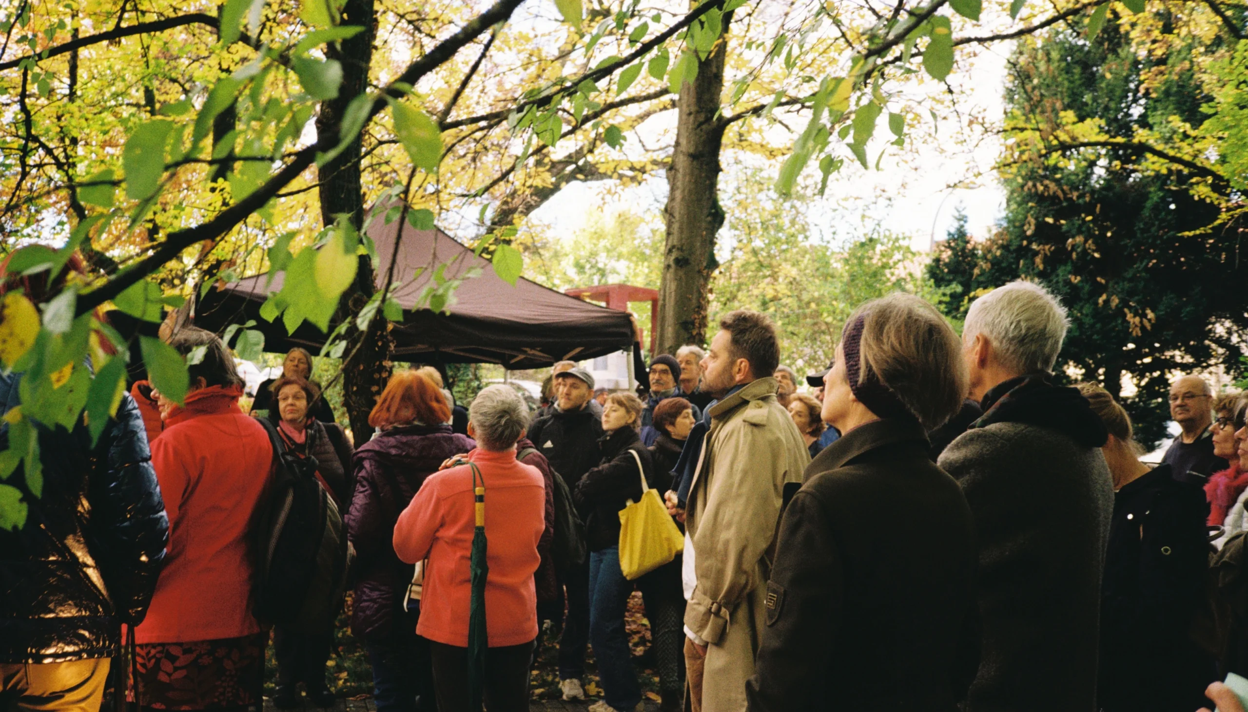 Neustart im Hajek Skulpturenpark Neustart im Hajek Skulpturenpark